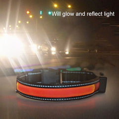 Medium and Large Dog Pet Solar + USB Charging LED Light Collar, Neck Circumference Size: L, 50-60cm, Size: L