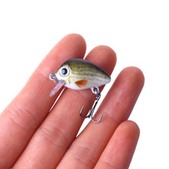 HENGJIA 5 PCS 2.7cm/1.5g Luya Rock Fishing Lures Bait Bionic Kit with Plastic Box, Box008