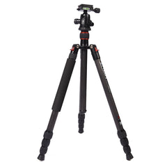 Triopo GT-2504X8.C Adjustable Portable Carbon Fiber Tripod with B-1 Aluminum Ball Head for Canon Nikon Sony DSLR Camera, GT-2504X8.C (Black), GT-2504X8.C (Gold)