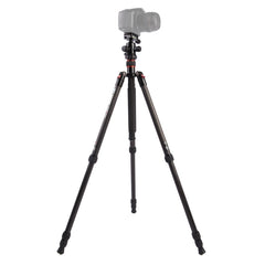 Triopo GT-2504X8.C Adjustable Portable Carbon Fiber Tripod with B-1 Aluminum Ball Head for Canon Nikon Sony DSLR Camera, GT-2504X8.C (Black), GT-2504X8.C (Gold)