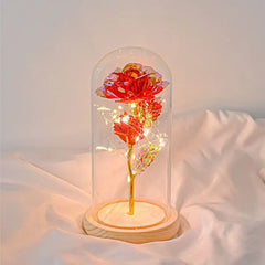 Forever Rose LED In Glass Dome Gift For Valentines Day