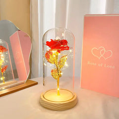 Forever Rose LED In Glass Dome Gift For Valentines Day