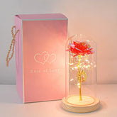 Forever Rose LED In Glass Dome Gift For Valentines Day