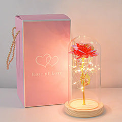 Forever Rose LED In Glass Dome Gift For Valentines Day