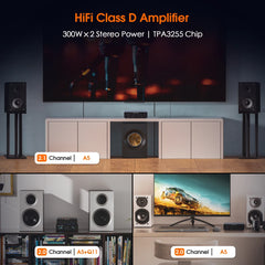 Douk Audio A5 Mini TPA3255 Class D Power Amp HiFi 300W Home
