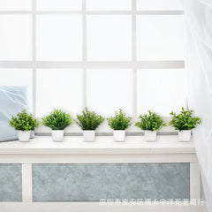 Artificial Eucalyptus Bonsai Plant for Home & Office Decor