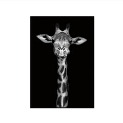 Simple Black and White Animal Decoration Painting Study Living Room Sofa Background Wall Painting Without Frame, 21X30cm, 30X40cm, 40X50cm, 40X60cm