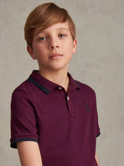 Boys Rib Texture Polo Shirt in Grape Wine