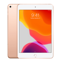 iPad Mini 5 (2019) 256GB WiFi & Cellular