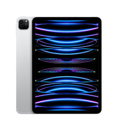 iPad Pro 11 (2022) 256GB Wi-Fi Cellular | Unlocked