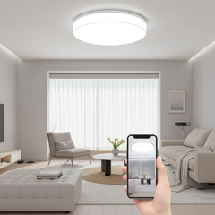Round LED Ceiling Light – Modern Decorative Fixture for Living Room (18/24/36/48W)