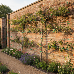 Reusable Garden Ties – Plant Support for Home Gardens