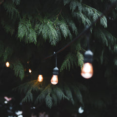4lite Festoon Lighting Outdoor String Lamps with E27 Screw Warm White LED Bulbs