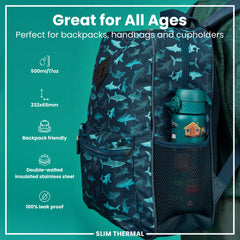 Leak Proof Slim Thermal Steel Water Bottle, Insulated, Automobiles, 500ml (17oz)