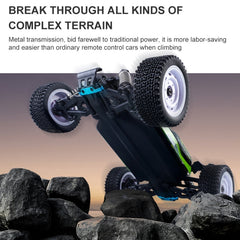 SCY-16102 2.4G 1:16 Electric 4WD RC Monster Pickup Truck Car Toy, SCY-16102 / Green