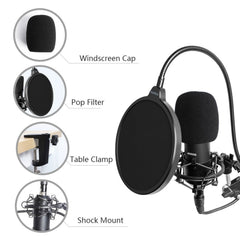 ProSound XLR Professional Microphone with Boom Arm Kit