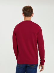 Mens Block Flag Graphic Crew Neck Sweatshirt in Biking Red