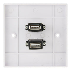 Dual USB 2.0 Female Plugs Home Wall Charger Plate Wall Plate Panel, 2 Ports USB 2.0