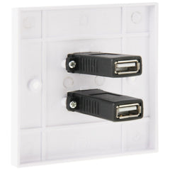 Dual USB 2.0 Female Plugs Home Wall Charger Plate Wall Plate Panel, 2 Ports USB 2.0