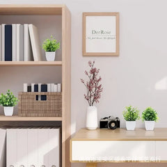 Artificial Eucalyptus Bonsai Plant for Home & Office Decor