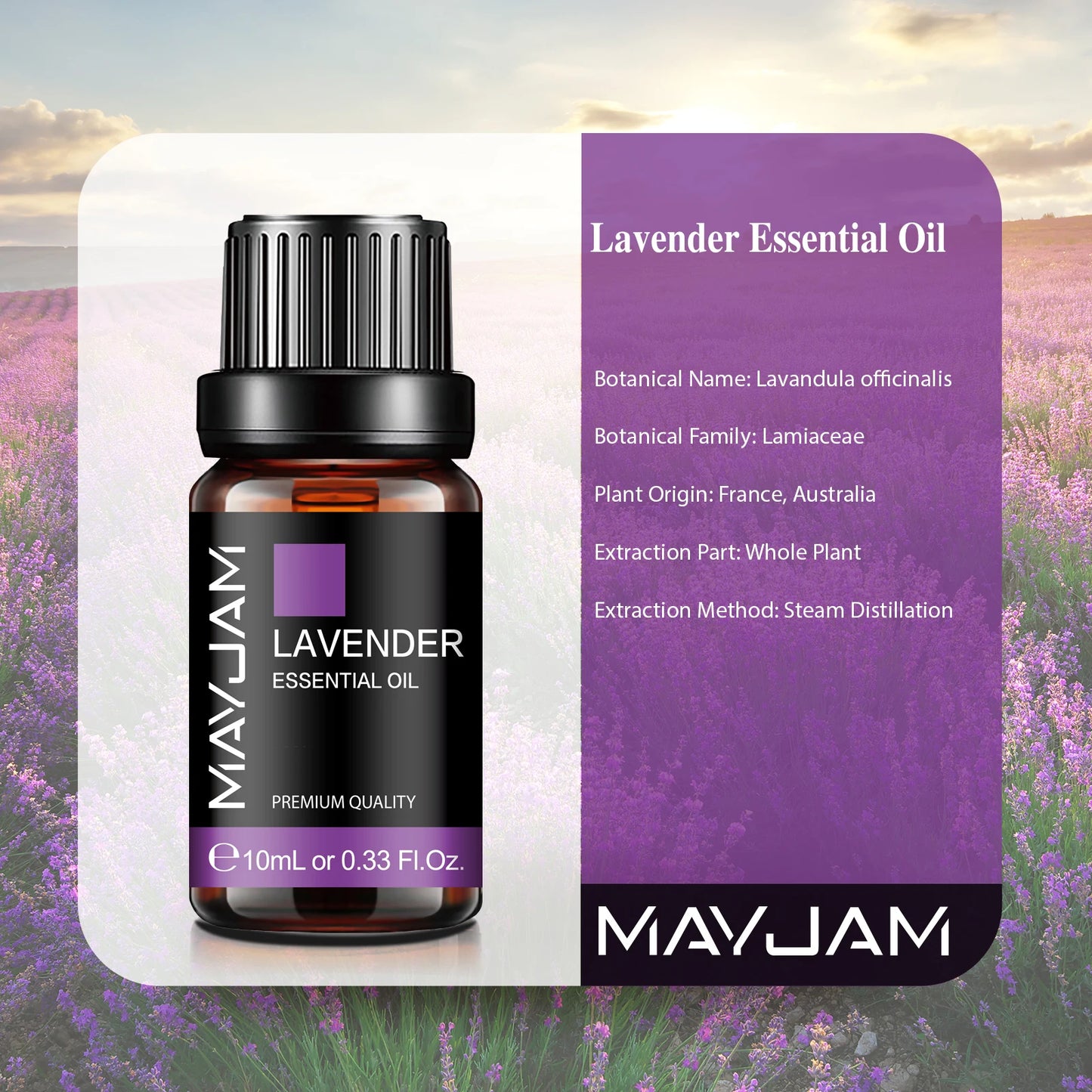 MAYJAM 10ML Essential Oil Lavender Jasmine Eucalyptus Vanilla Sandalwood Bergamot Rosemary Citronella Cinnamon Fragrance Oil