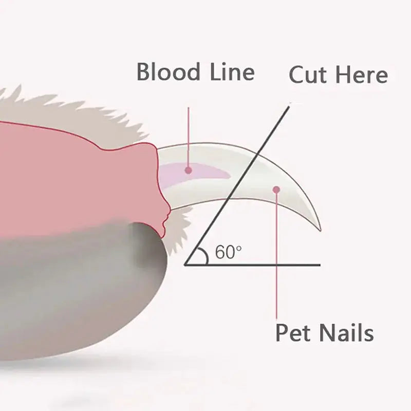 🐾 Professional Pet Nail Clippers with LED Light - shopxpress.uk