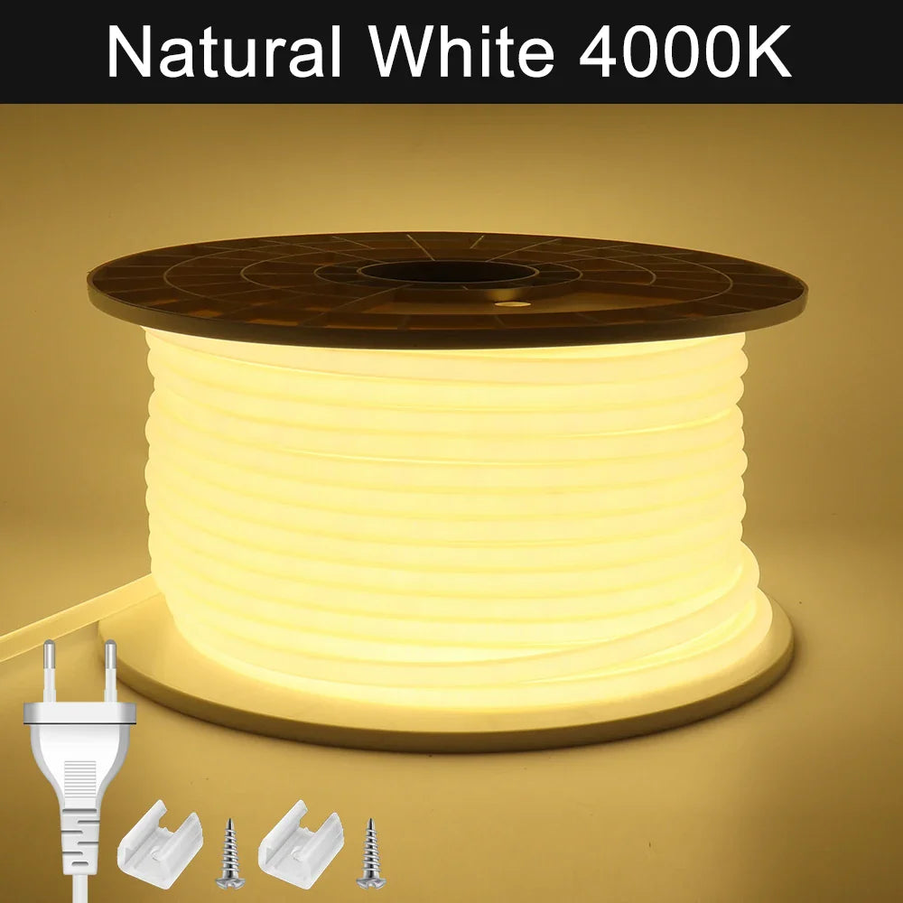 Freebeam COB LED Strip Light 20m 50m High Bright Bedroom