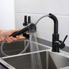 304 Stainless Steel Kitchen Sink Pull-out Faucet, Sink Pull-out Faucet