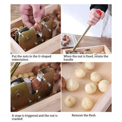 Nut Walnut Macadamia Opener Fruit Opener, Walnut Opener