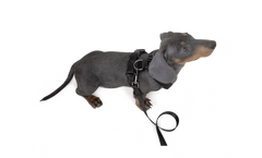 Dog Strap Harness - Small
